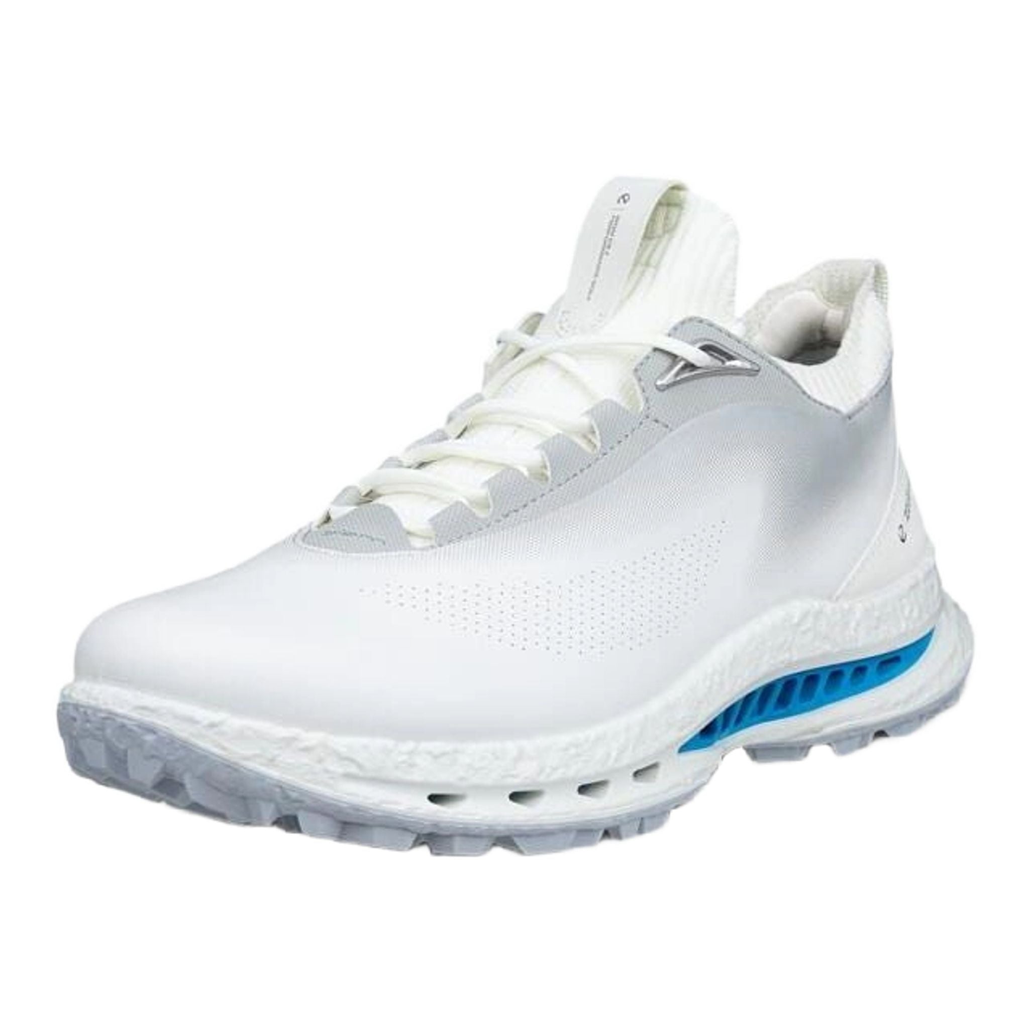 Ecco BIOM C5 Golfschuhe Herren