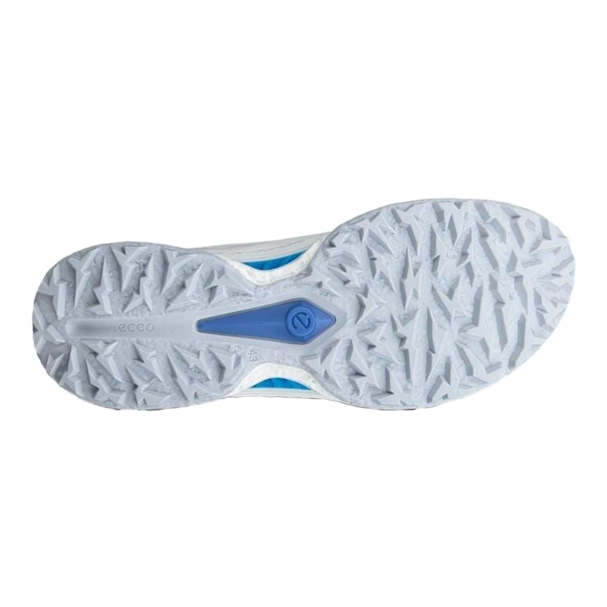 Ecco BIOM C5 Golfschuhe Herren