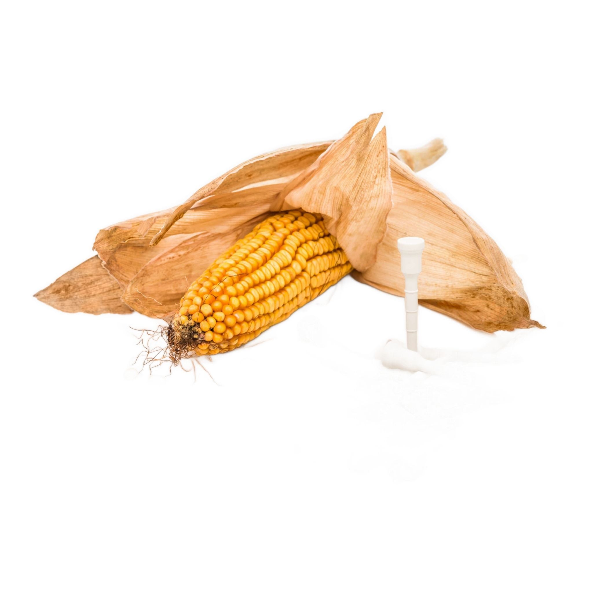 Lignum Classic ECO Tees