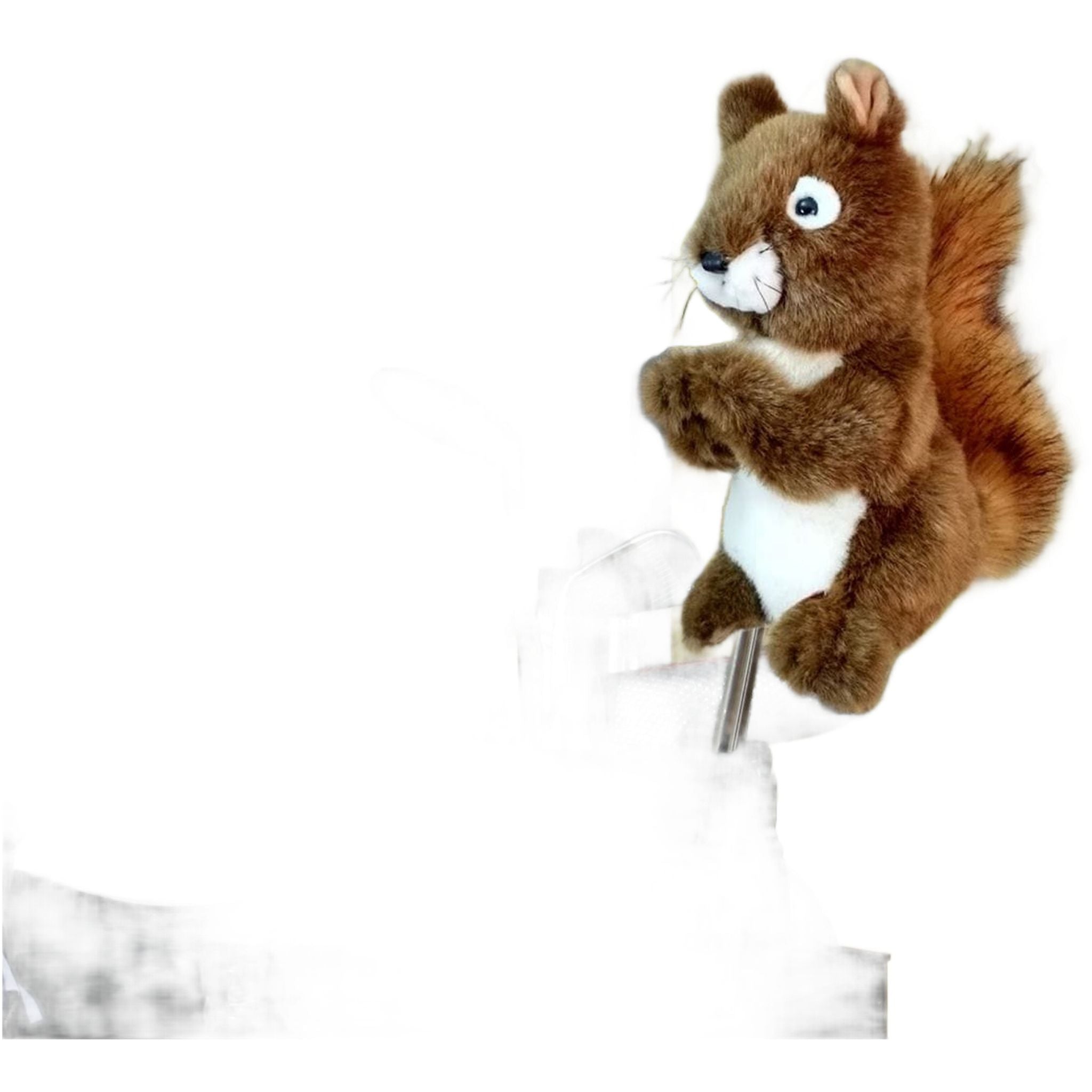 Daphne Driver Eichhörnchen