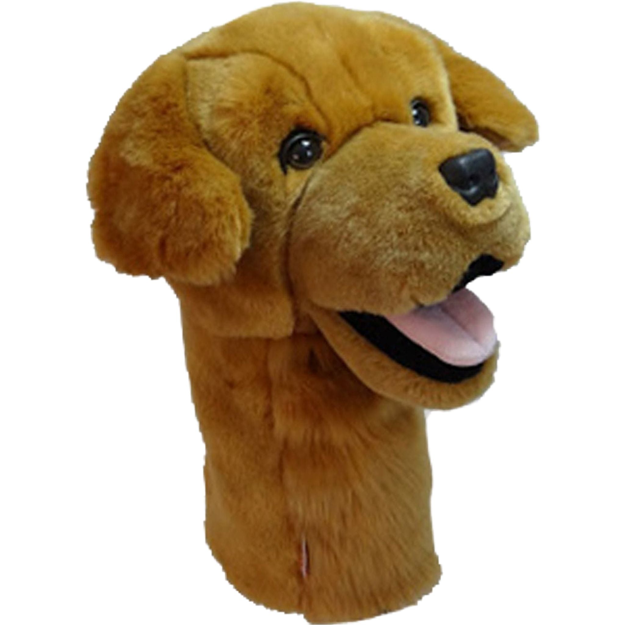 Daphne Driver Golden Retriever