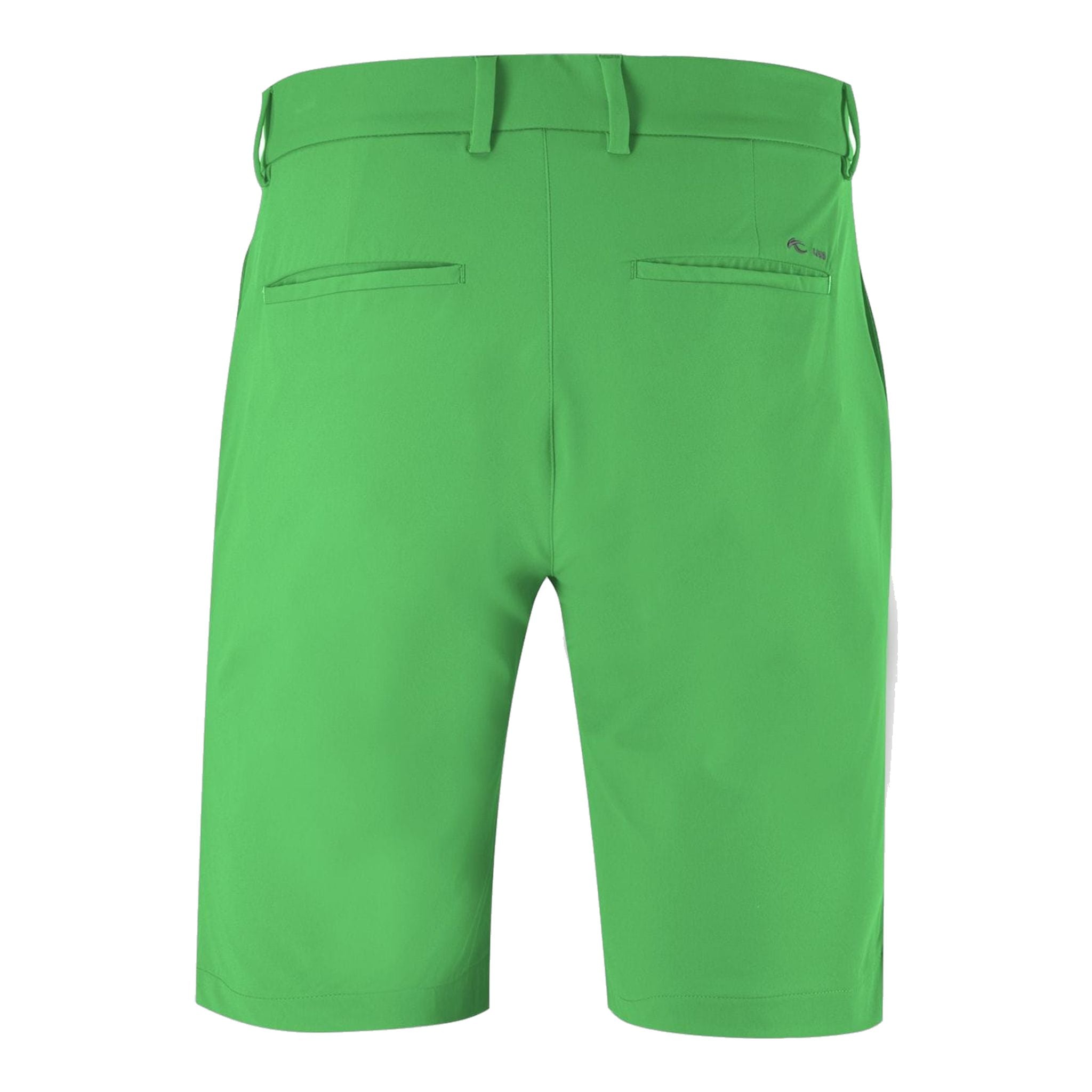 Kjus M Iver Shorts Spring Grün Herren