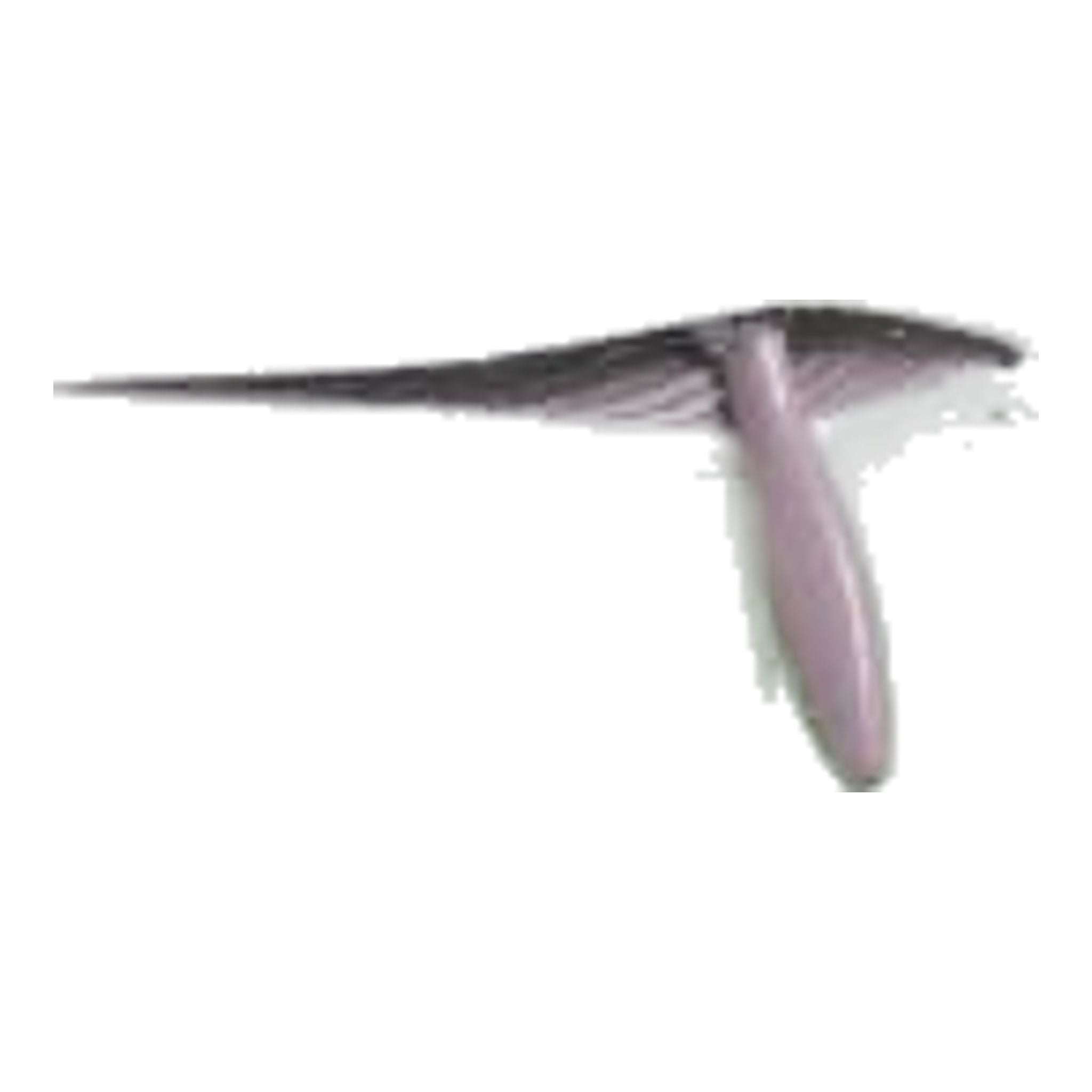 Adidas Printed Skort Damen