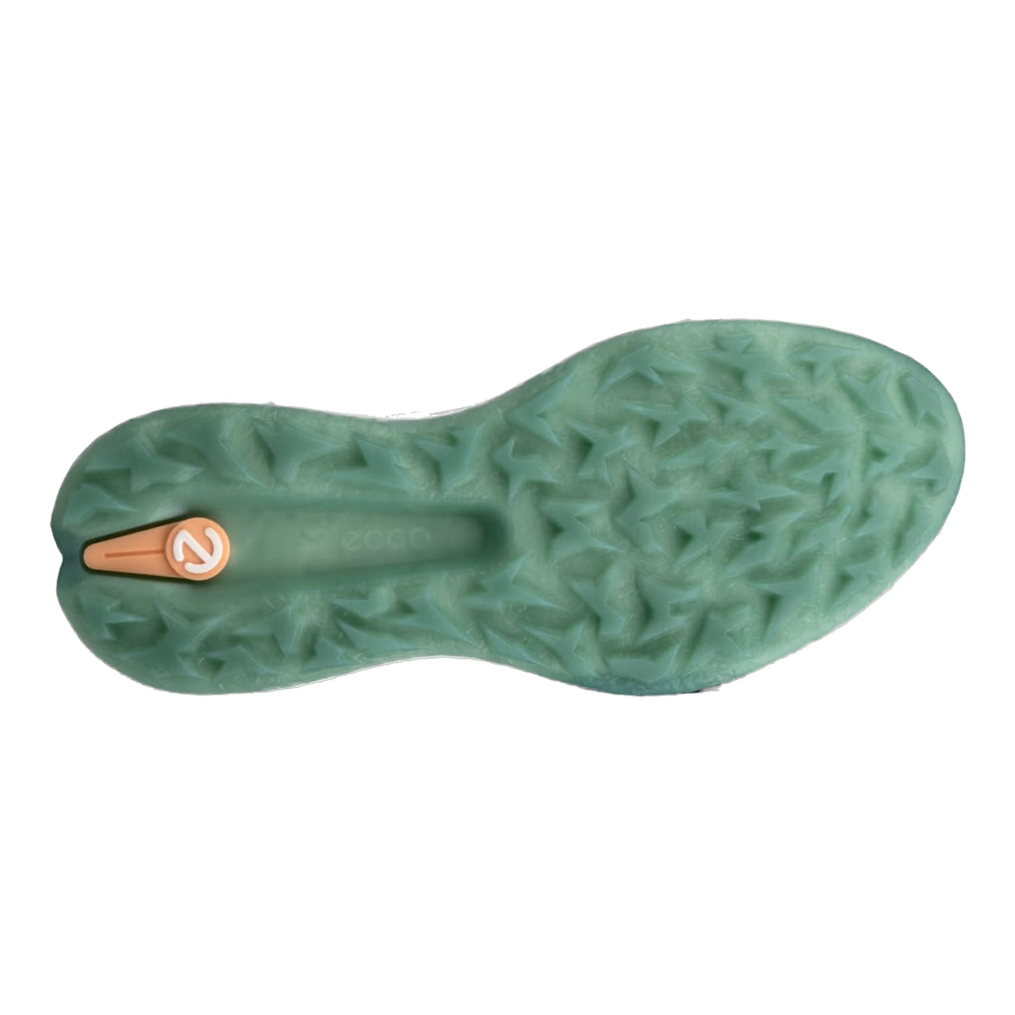 Ecco Golf Biom H5 Schuhe Damen