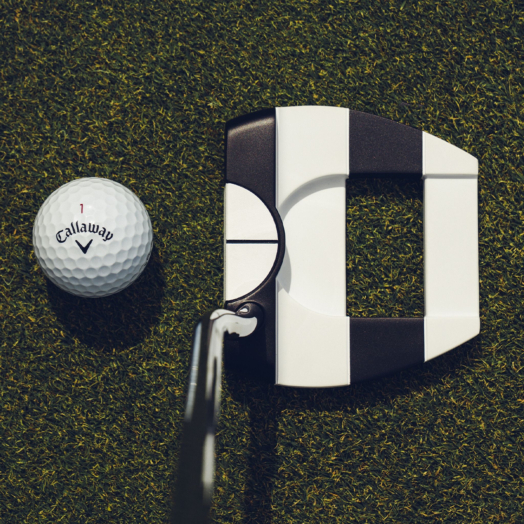 Odyssey Ai-Dual Jailbird 1/2 Ball Cruiser Putter