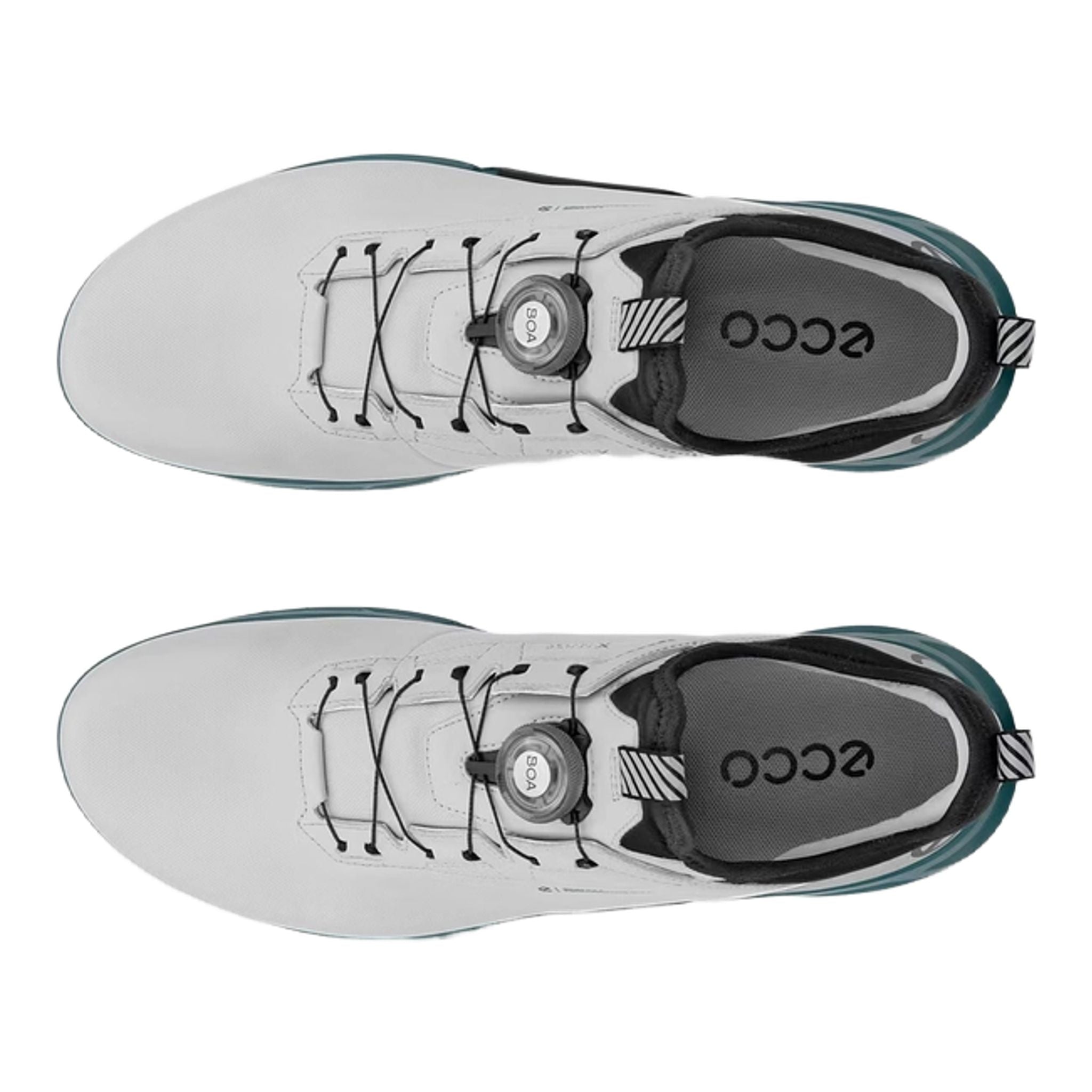 Moški golf čevlji Ecco Biom C4 Boa