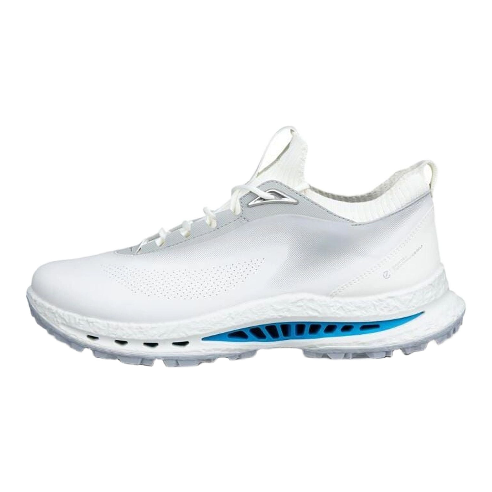 Ecco BIOM C5 Golfschuhe Herren