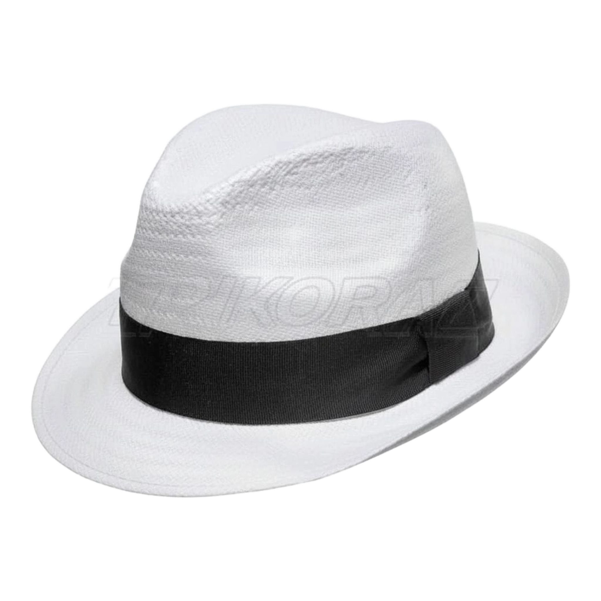 Agencija Erwin Reithmeier papirnati klobuk klobuk ženske