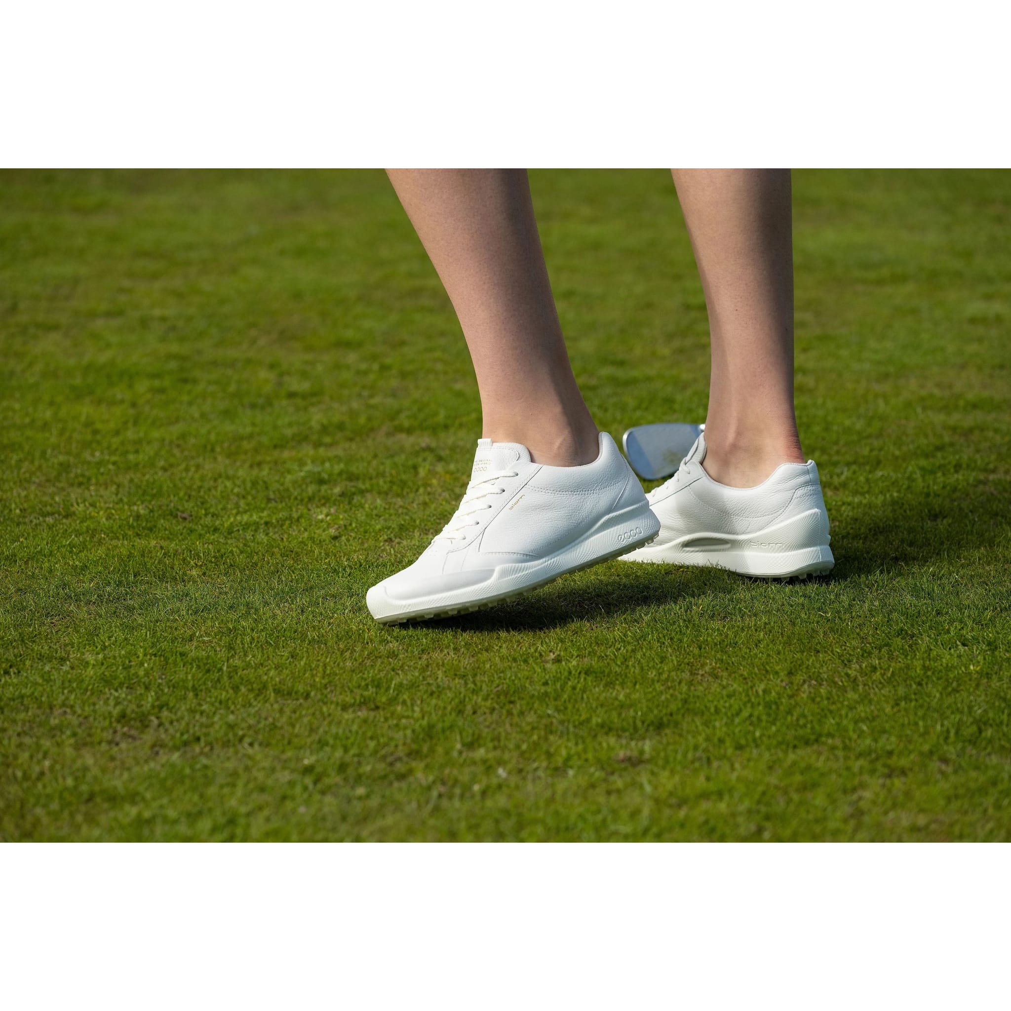 Ecco Biom Hybrid Golfschuhe
