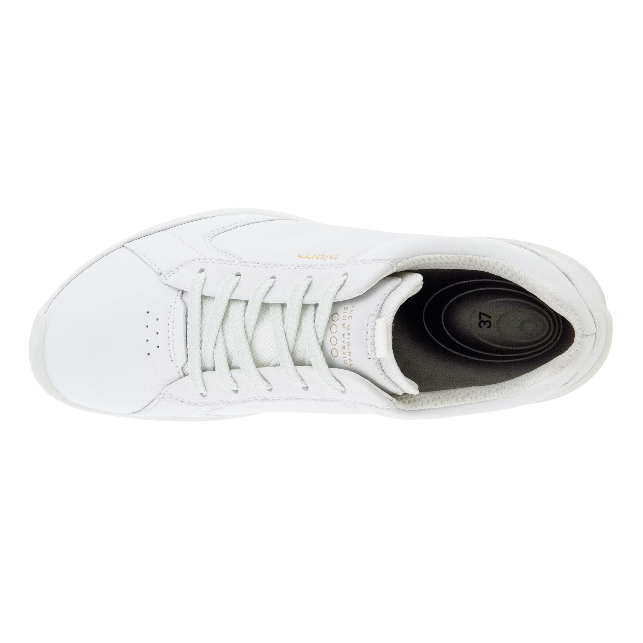 Ecco Biom Hybrid Golfschuhe