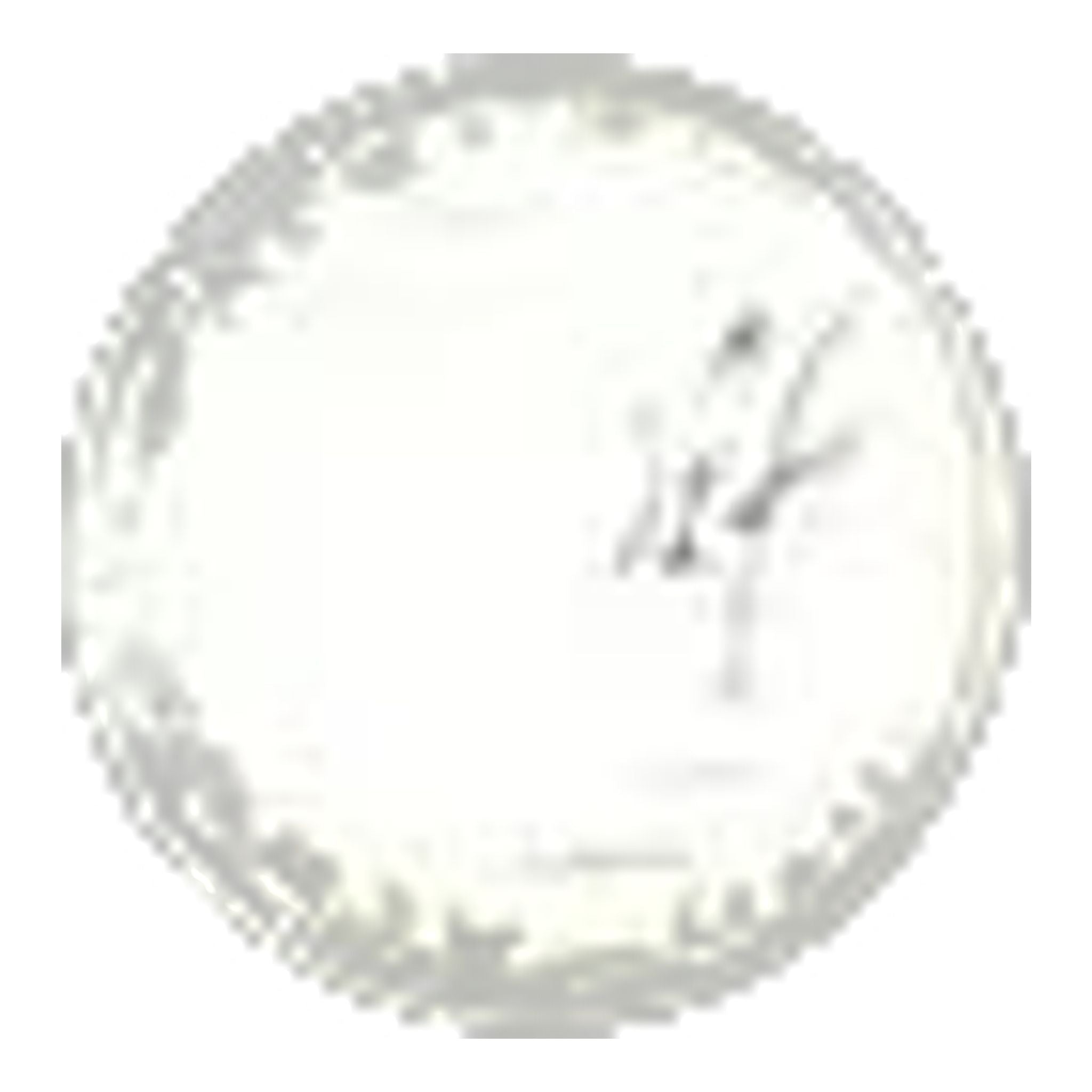 Alberto Earnie WR Revolutional® Golf-Short Herren