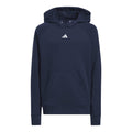 Adidas Sport Hoodie