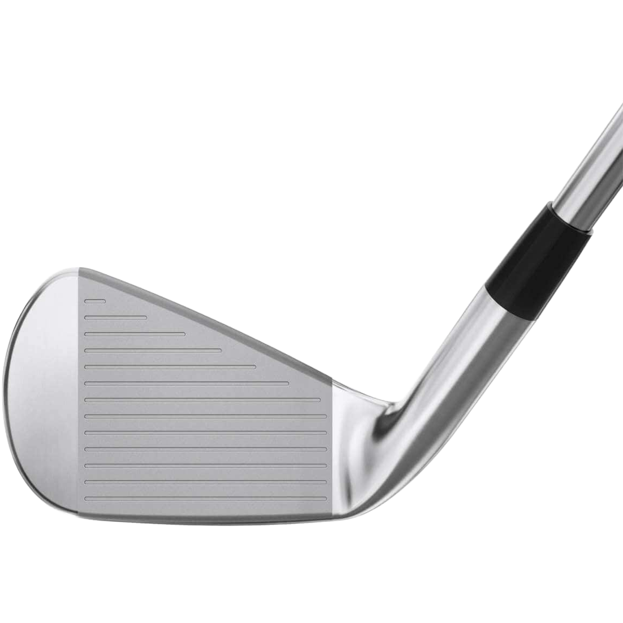 Mizuno PRO 245 Eisensatz Herren