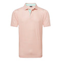 Footjoy Citrus Print Lisle Polo Herren