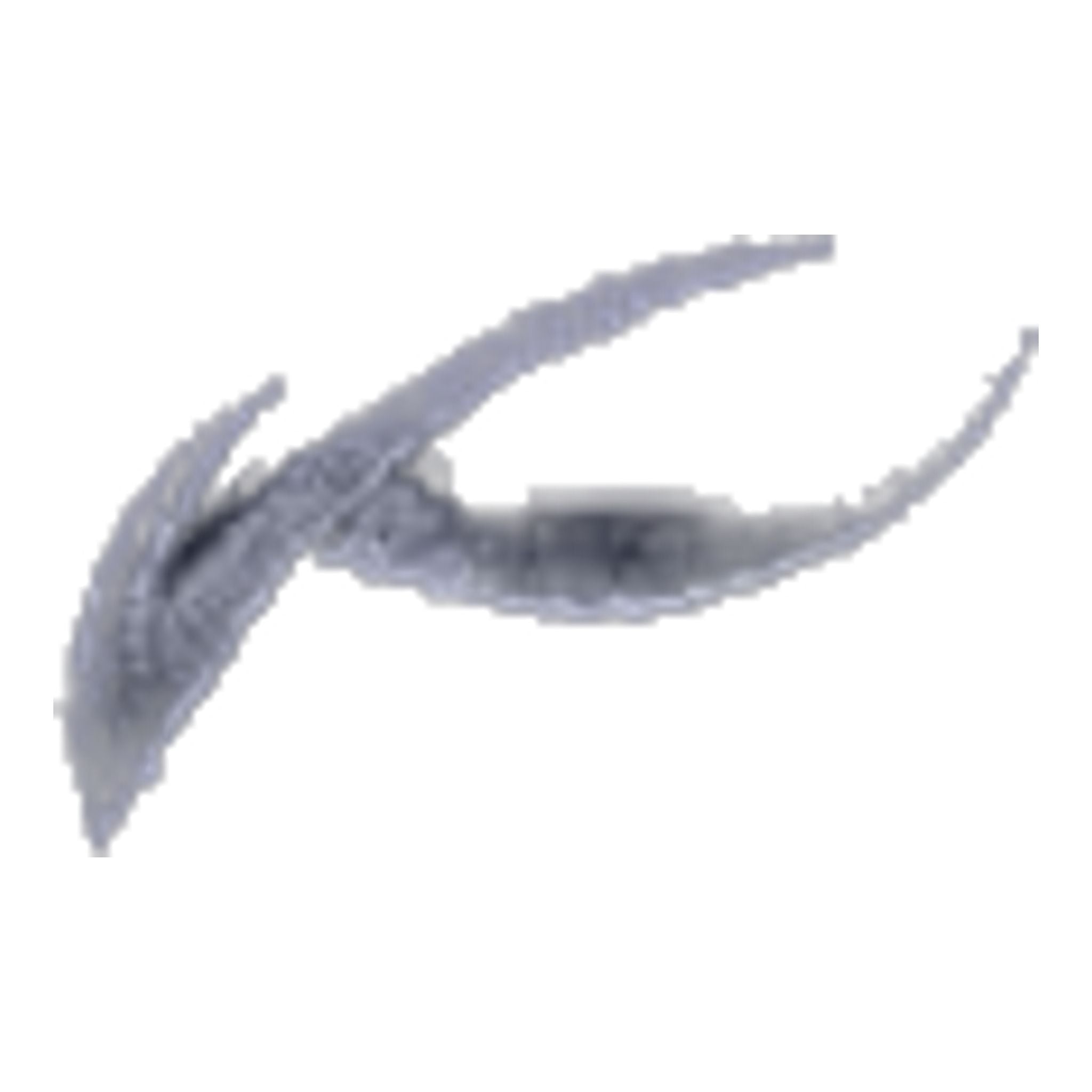 Kjus Ike Shorts Golfshorts Herren